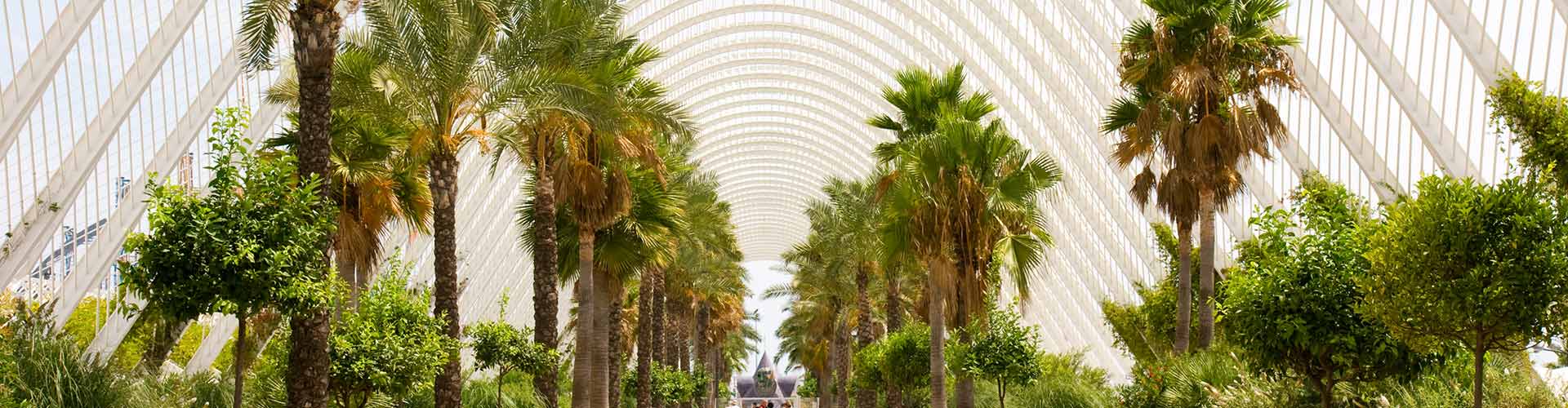 Zonas verdes de Valencia