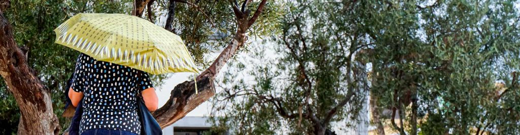 Qué hacer en Valencia