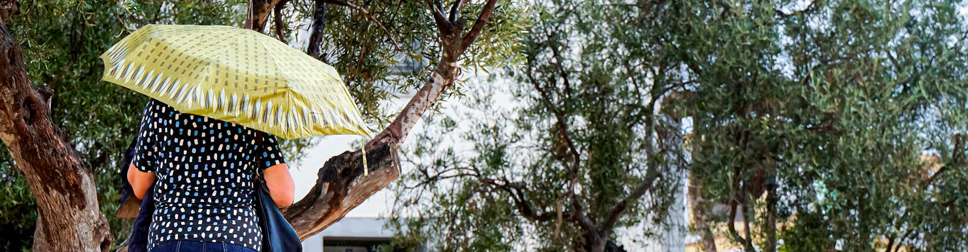 Qué hacer en Valencia